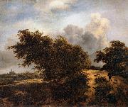 RUISDAEL, Jacob Isaackszon van The Thicket France oil painting artist